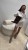 IMG_8600.jpeg