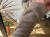 IMG_0948.jpeg