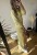 IMG_1052 3.jpeg