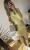 IMG_1049 3.jpeg